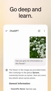 ChatGPT Premium 4