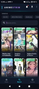 Animestrim Premium 1